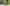 2021 Mercedes-AMG GT Black Series (PB25)