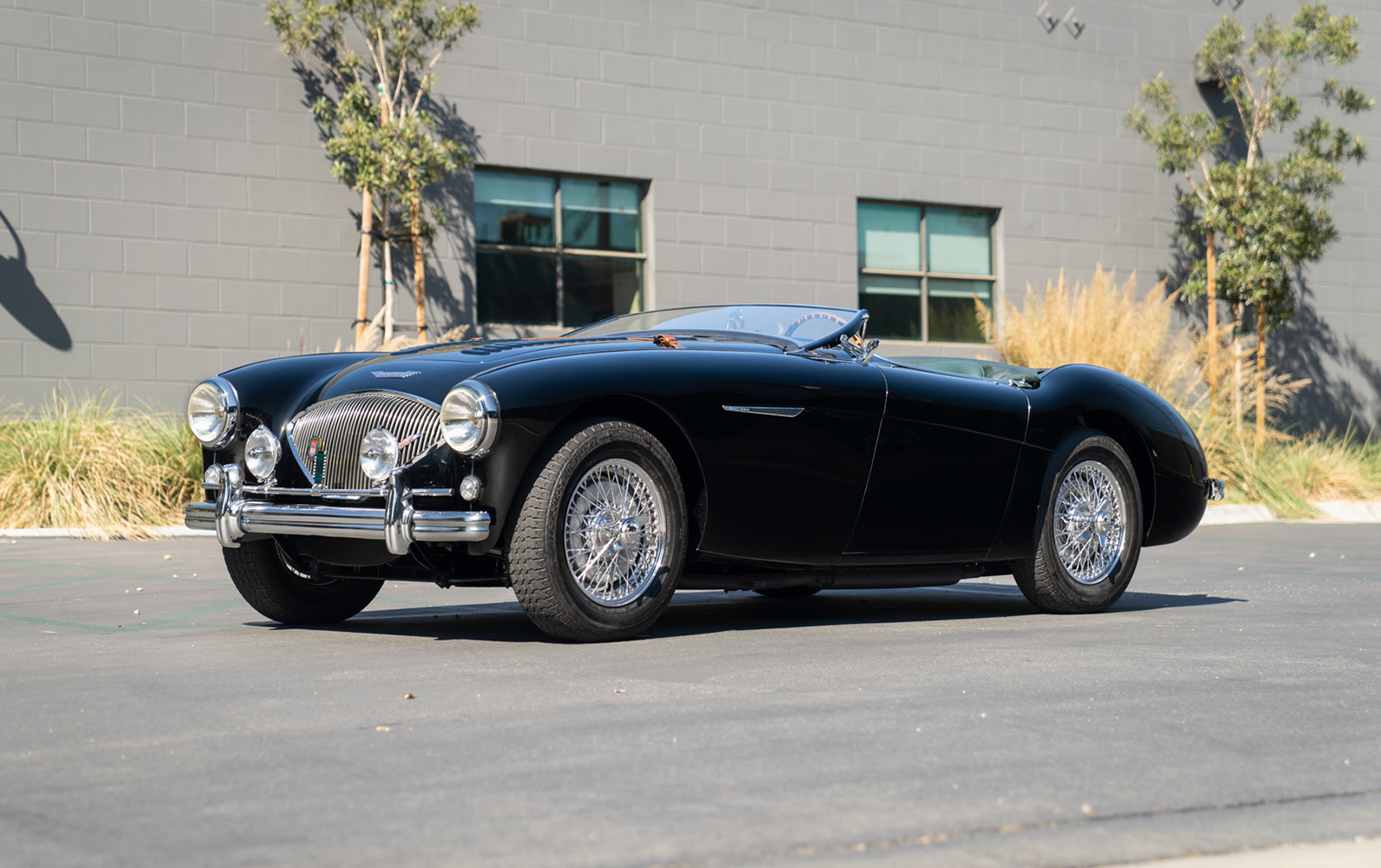 1956 Austin-Healey 100M