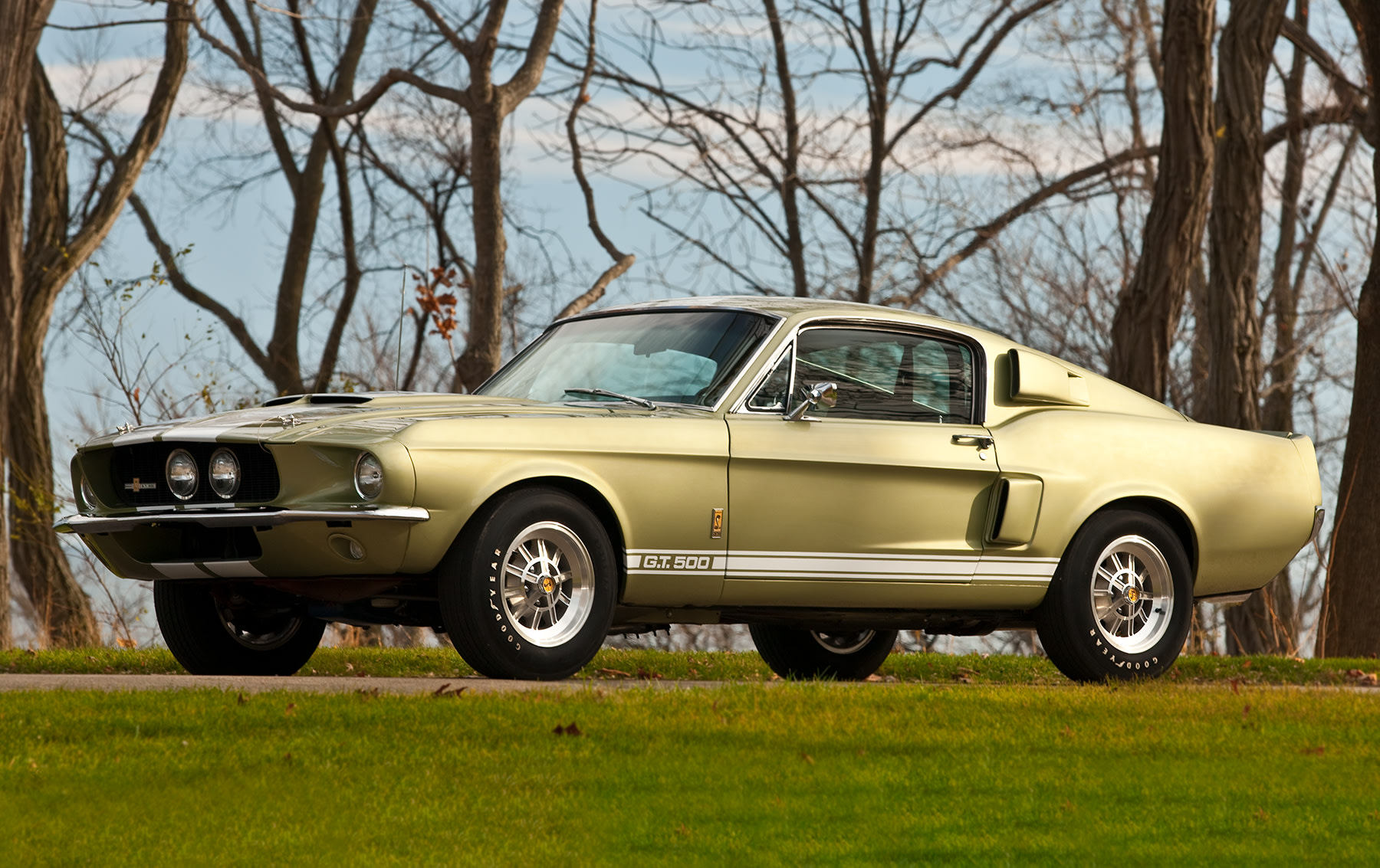 1967 Shelby GT500 Fastback-2