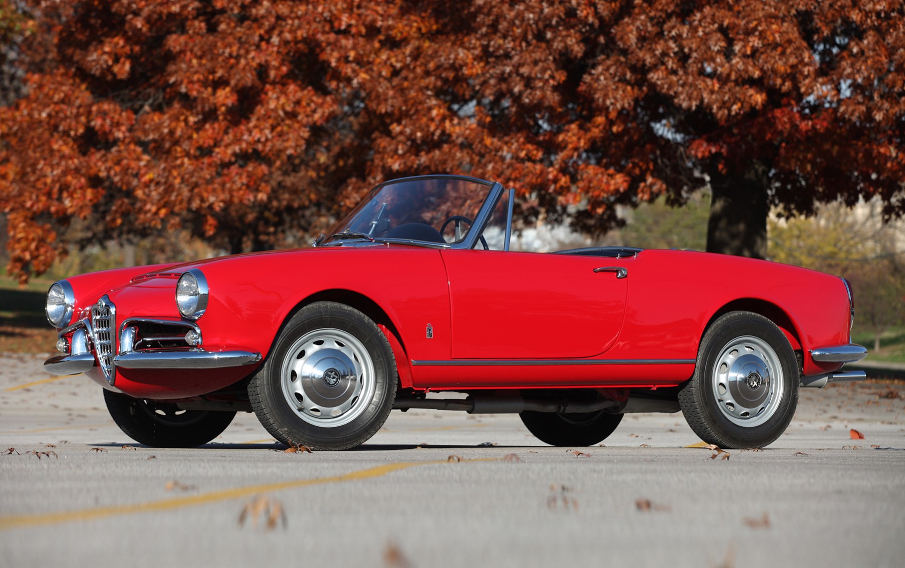 1964 Alfa Romeo Giulia Spider