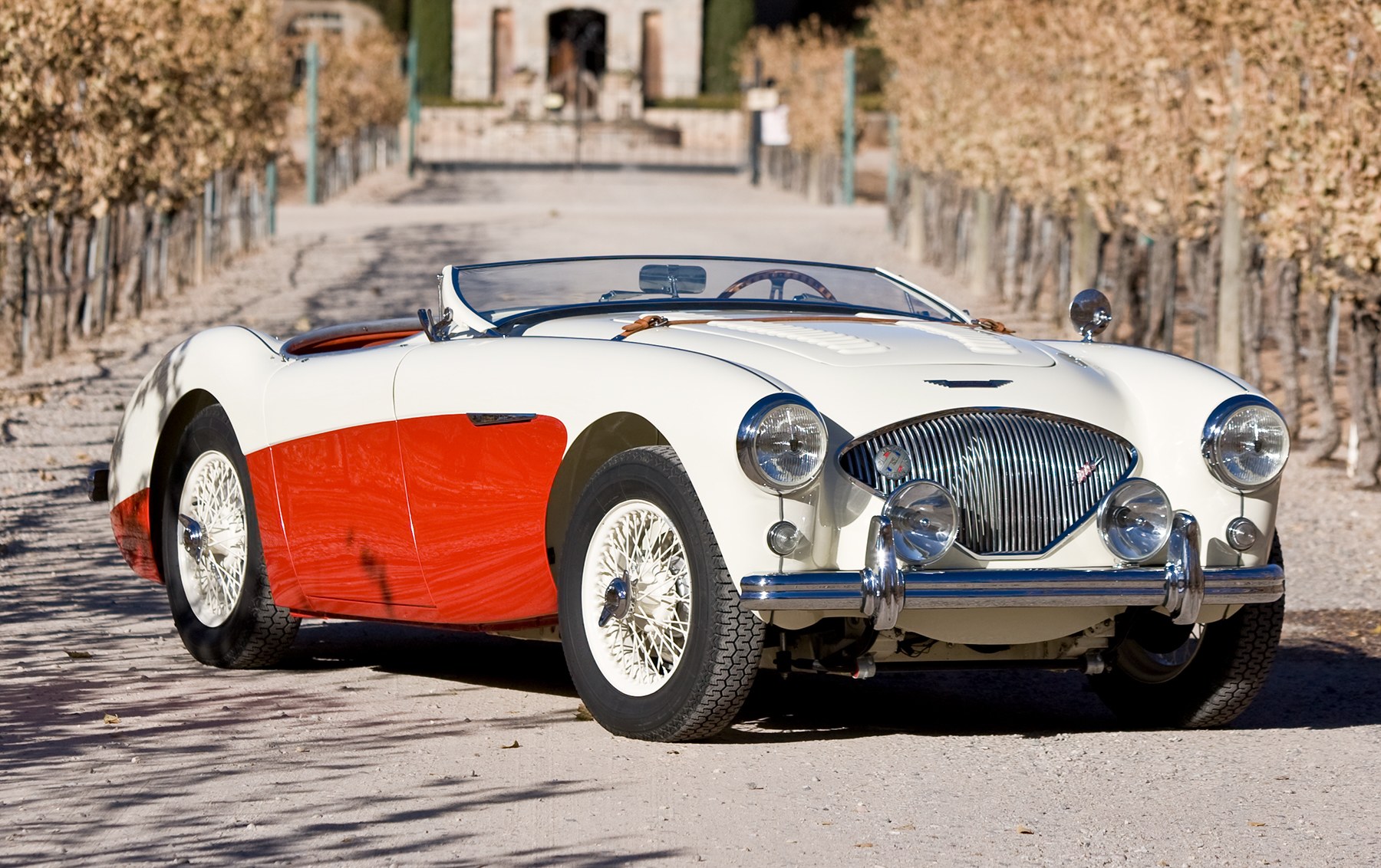 1956 Austin-Healey 100/4 BN2 Le Mans