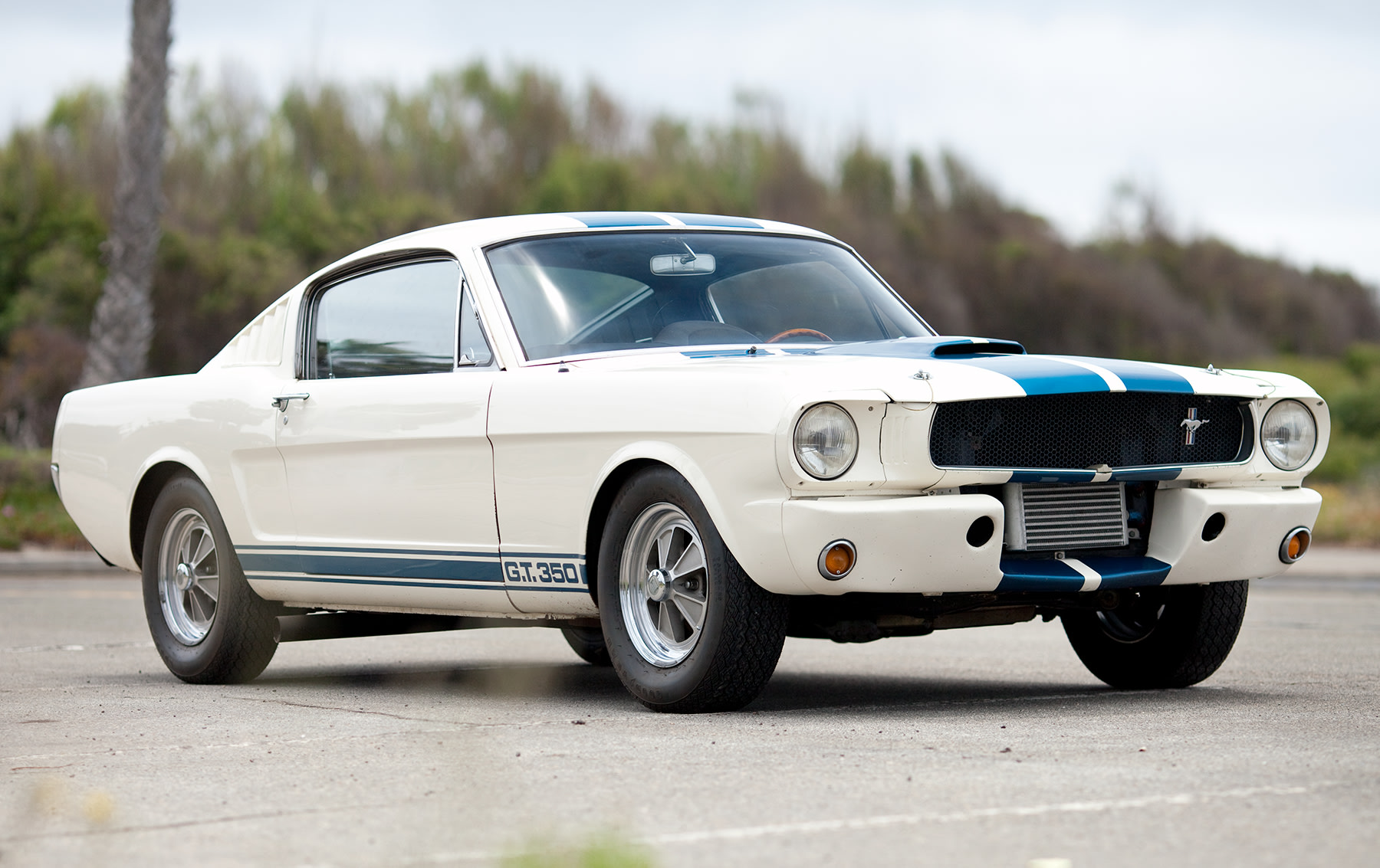1965 Shelby GT350 (1)