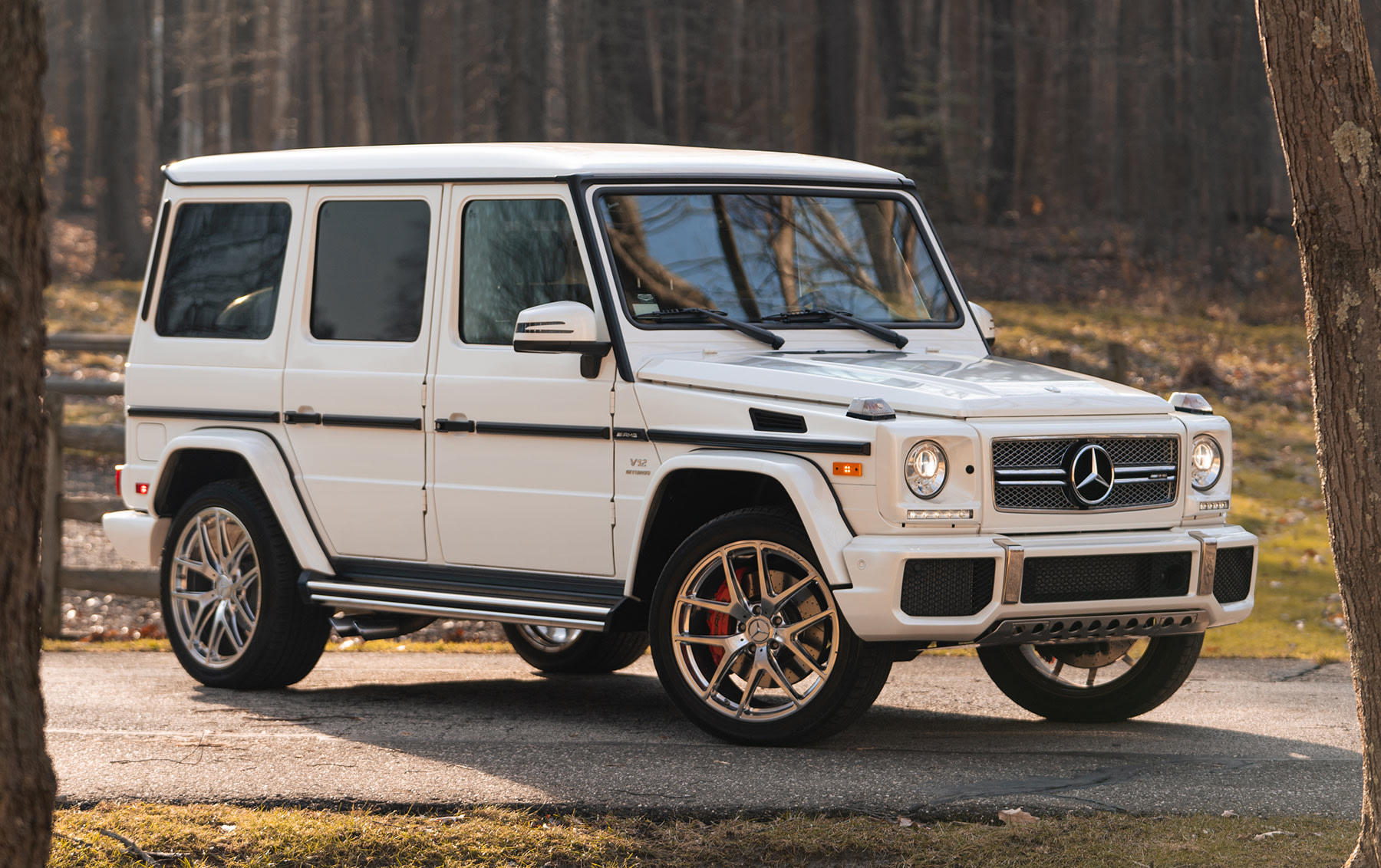 2018 Mercedes-Benz AMG G65