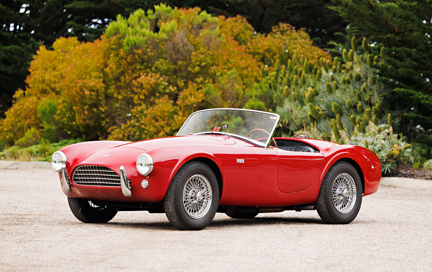 1963 Shelby 260 Cobra | Gooding & Company