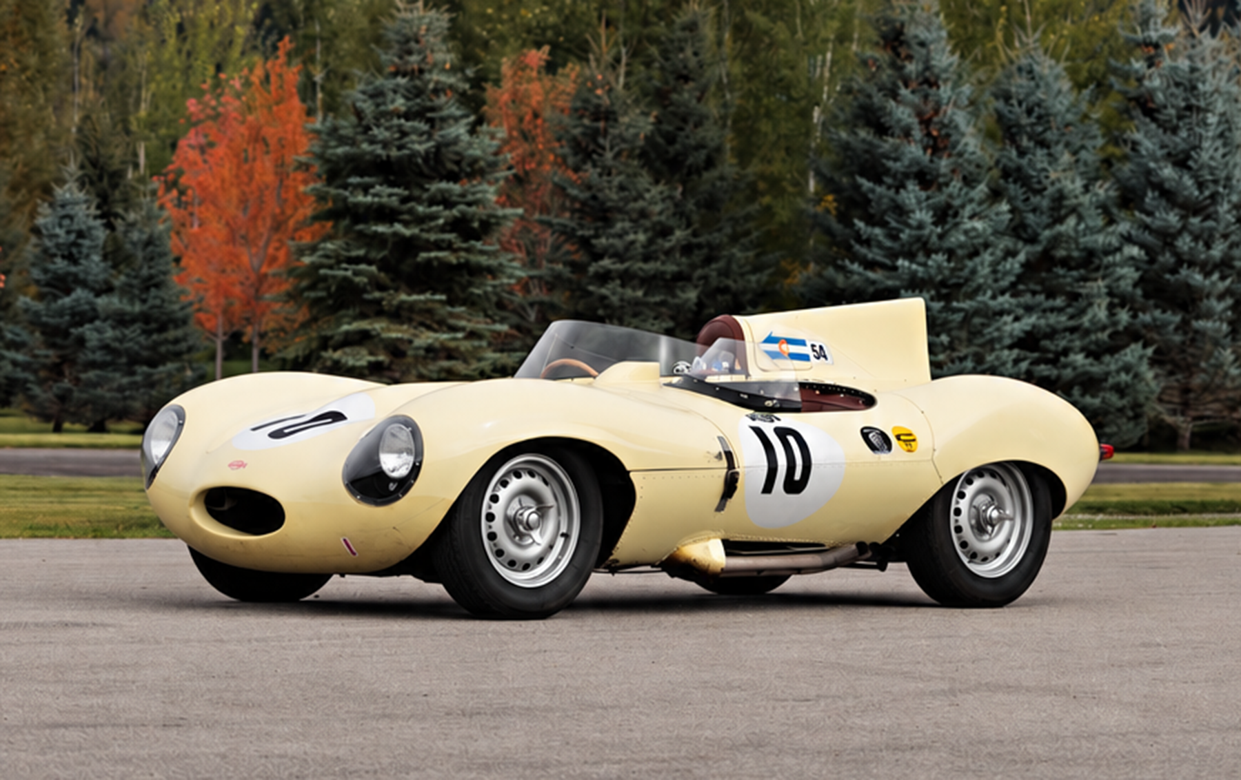 1956 Jaguar D-Type — photo 1 of 1